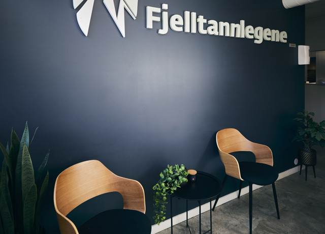 Fjelltannlegene Logo Vegg 2